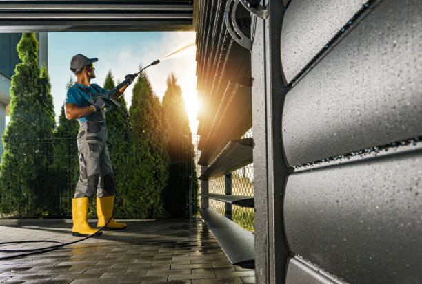Best Soft Washing  in Monmouth, IL